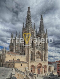 catedral de burgos