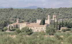 monasterio de santes creus