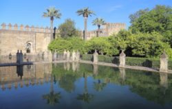 estanque alcázar de los reyes cristianos