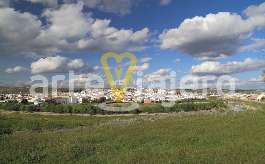 Castro del Río - ArteViajero