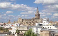 catedral de sevilla