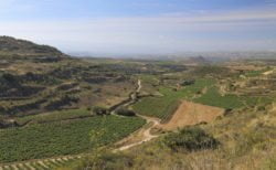 castillo de davalillo