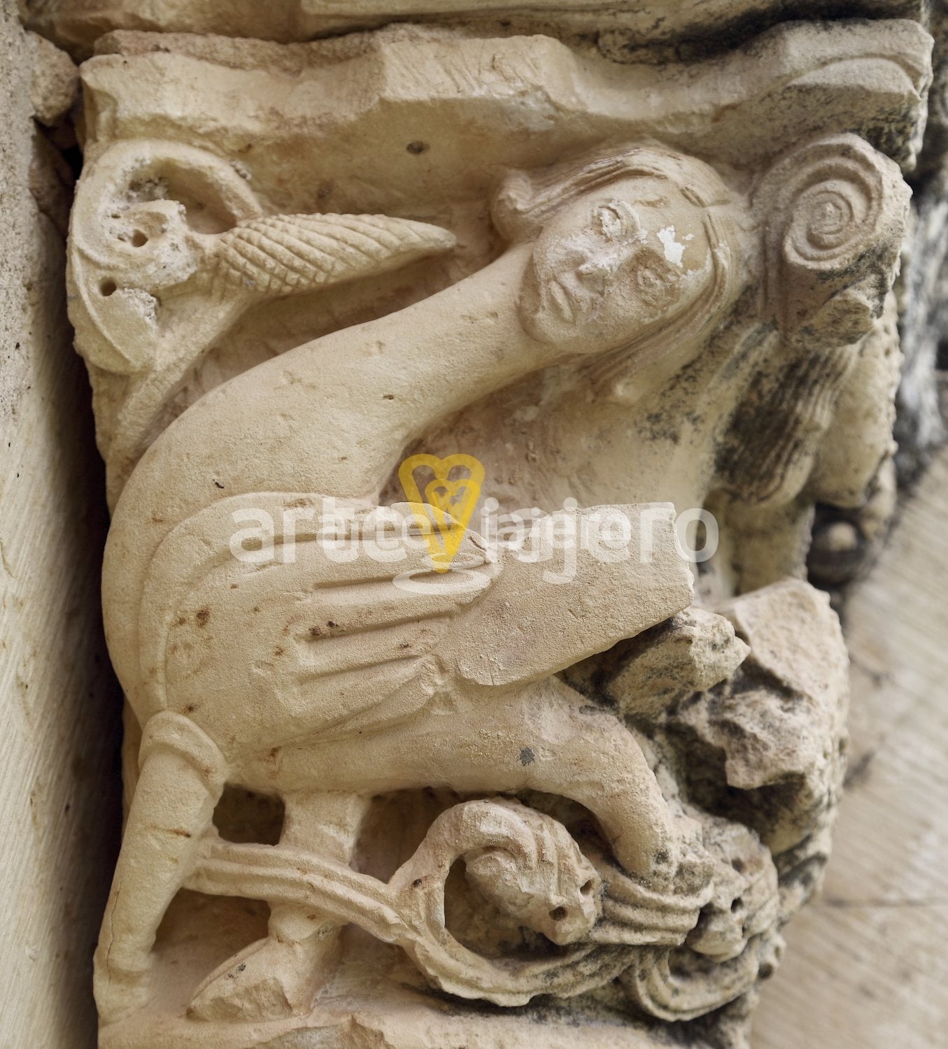 capitel románico con arpía
