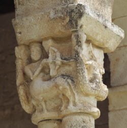 centauro bestiario medieval