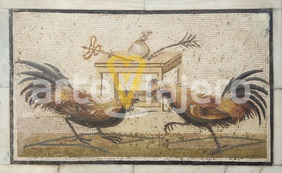 mosaico con pela de gallos