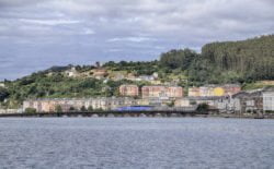 viveiro