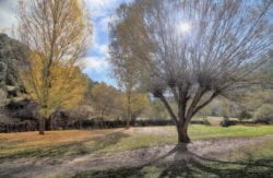 parque natural cañón del río lobos