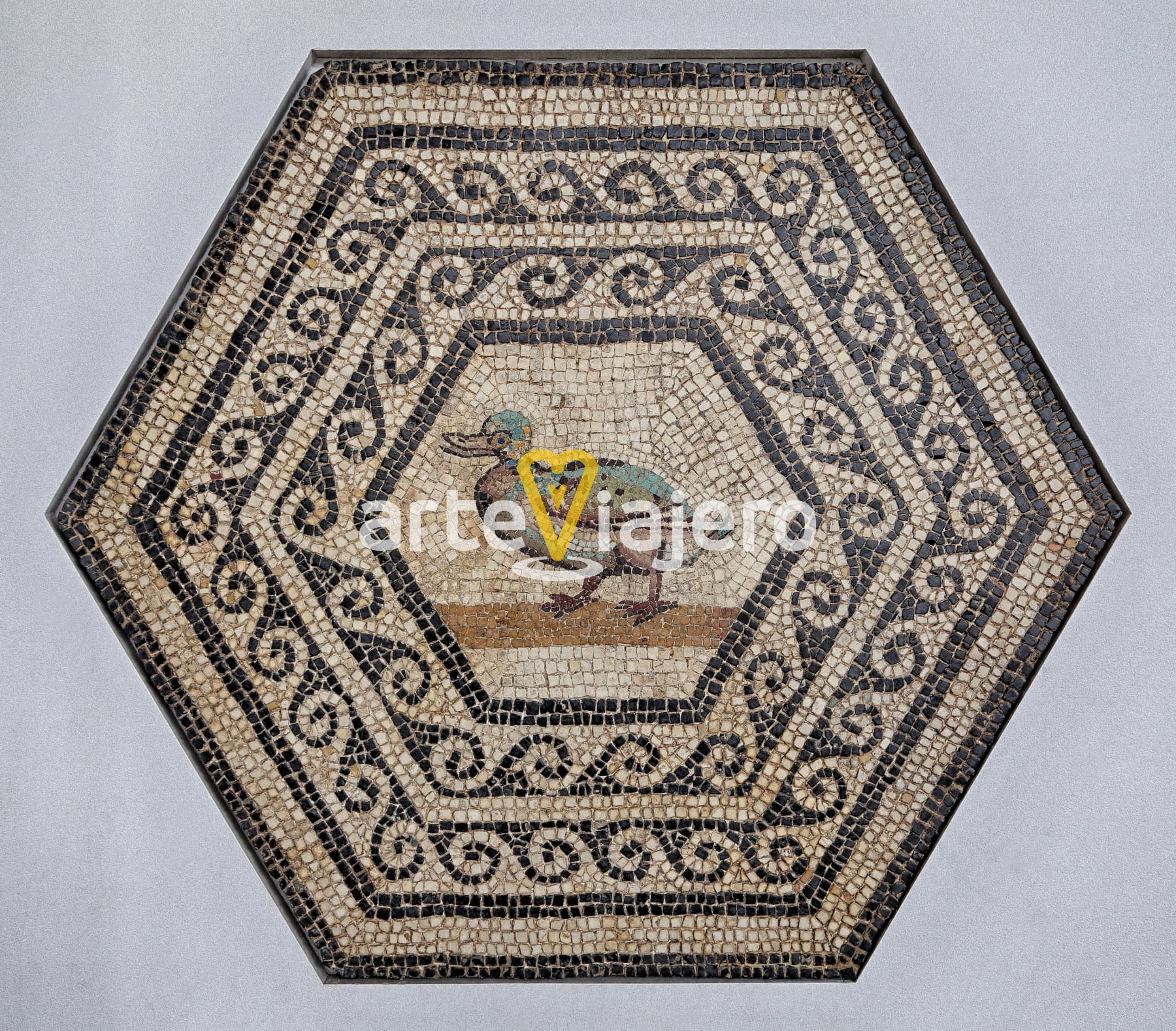 mosaico romano pato, canard