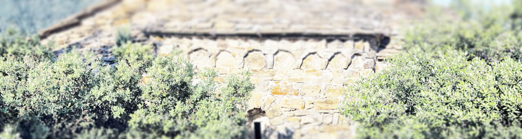 Ermita de San Antón de Pano ArteViajero