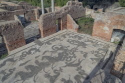 mosaico del frigidarium