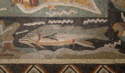 mosaico romano con pez