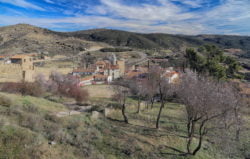 almendros en flor