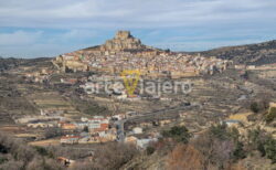 morella