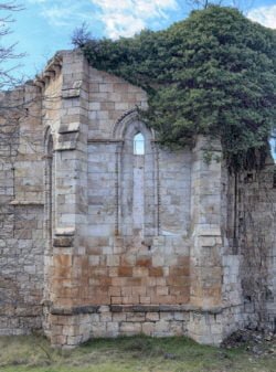 monasterio de bonaval guadalajara