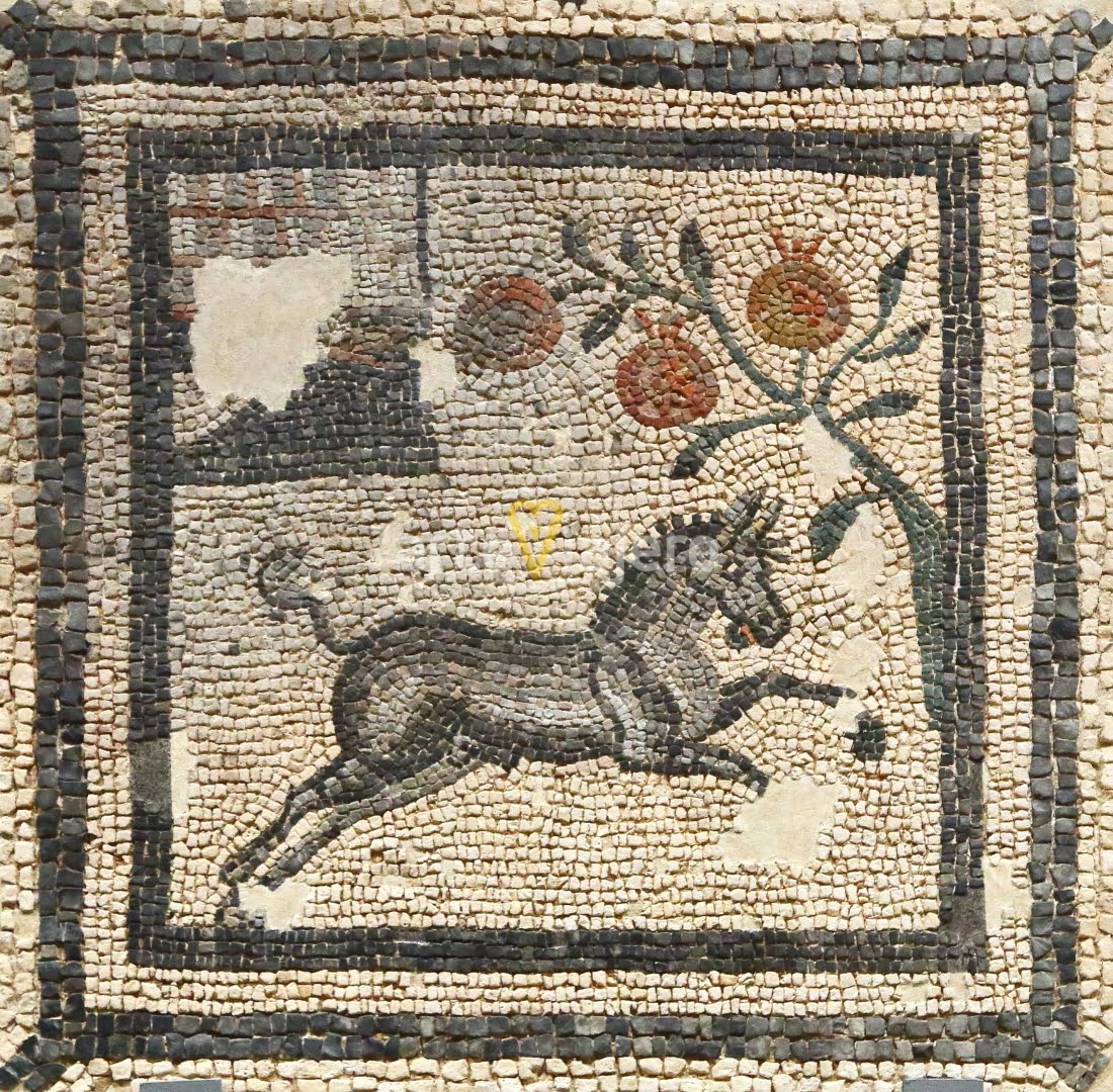 mosaico villa fortunatus