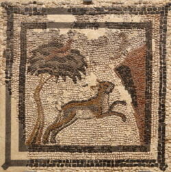 villa fortunatus mosaico romano