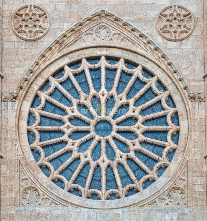 catedral de león