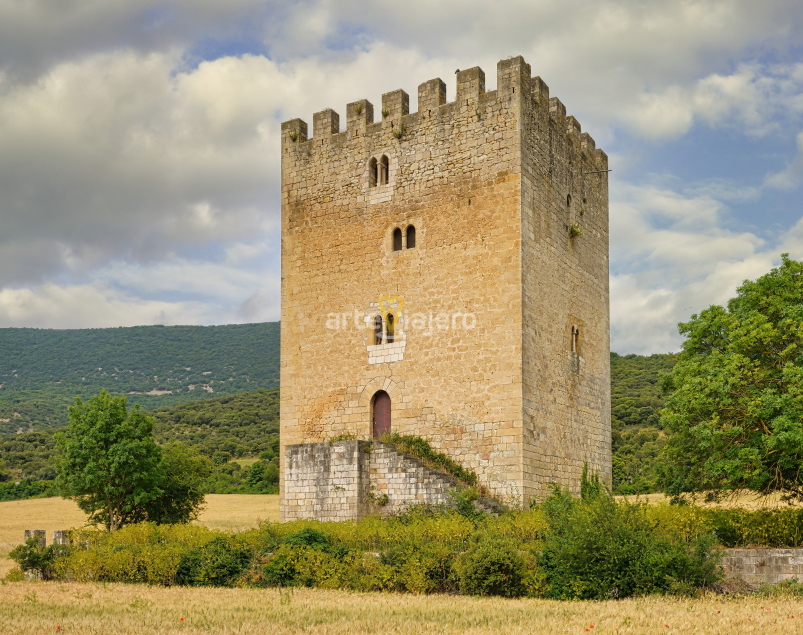 torre de los fernández velasco