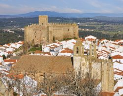 segura de león