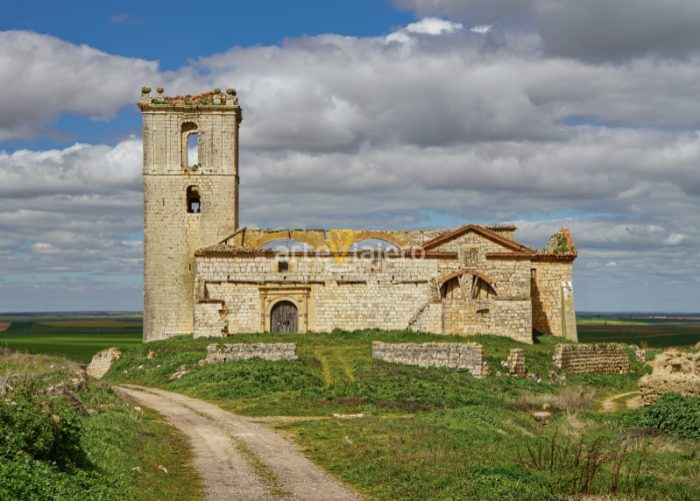 villavellid