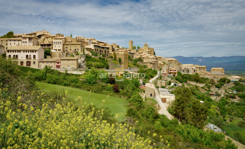 sos del rey católico