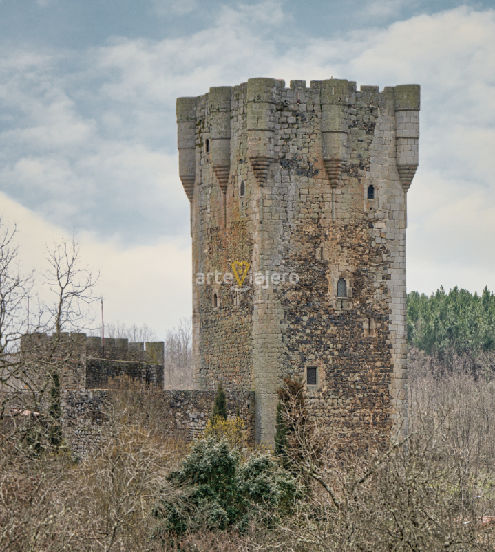 castillo de monleón