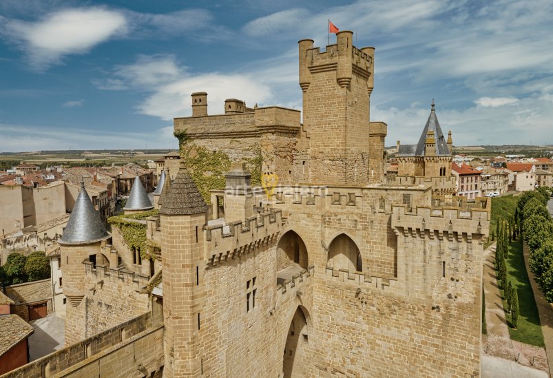 palacio real de olite