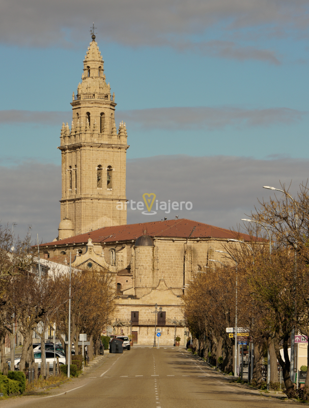 nava del rey